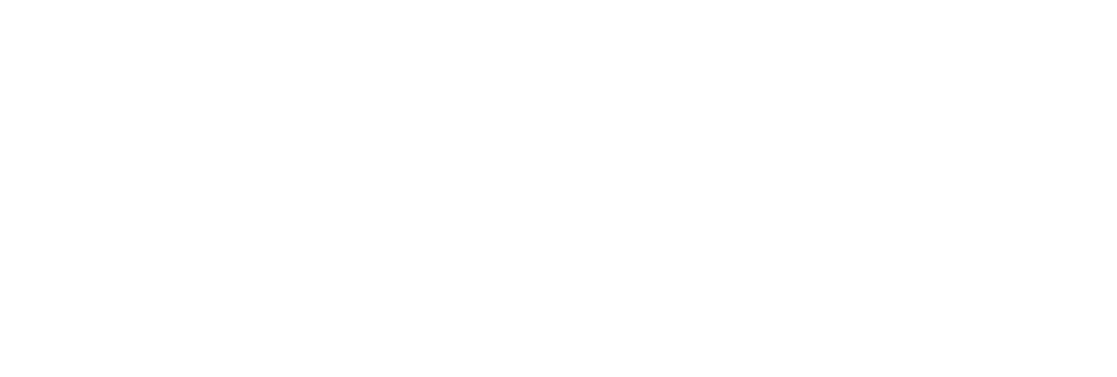 Fintech_Logo_Horizontal_White-1